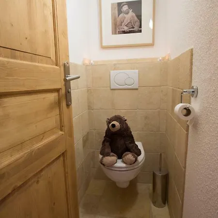 - Cosy Duplex Avec Vue Silveralp 218 瓦托伦斯